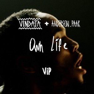 Own Life (feat. Anderson .Paak) [VIP Mix]