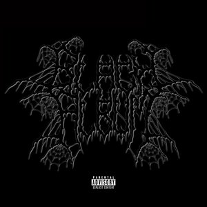 Black Album