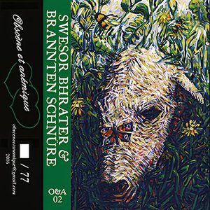 Split Cassette - Obscène et Anémique 02