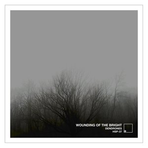 Wounding of the Bright 的头像