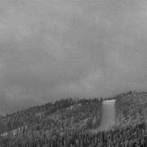 Левиафан のアバター