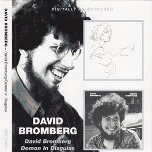 David Bromberg / Demon In Disguise
