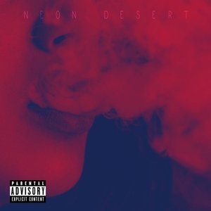 Neon Desert