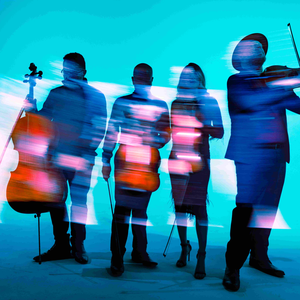 Vitamin String Quartet