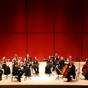 Stuttgart Chamber Orchestra (Matt) 的头像
