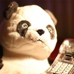 The Panda 的头像