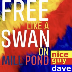 Free Like A Swan On Mill Pond