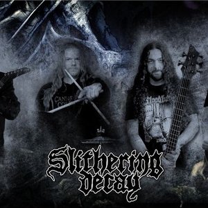 Slithering Decay 的头像