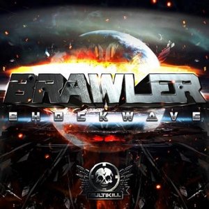 Brawler 的头像