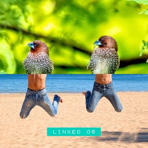 LINKED 08