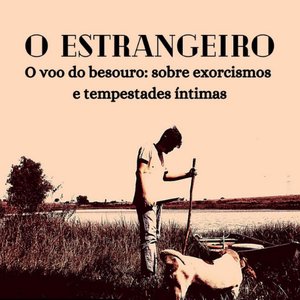 O Voo do Besouro: Sobre Exorcismos e Tempestades Íntimas