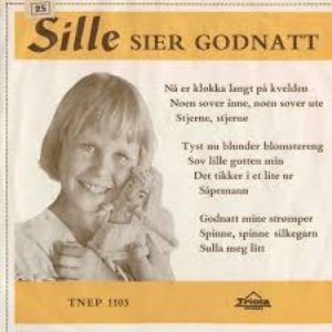 Sille Merete Halvorsen 的头像