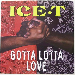 Gotta Lotta Love