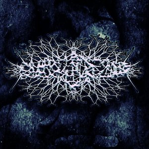 Placentofilia 的头像