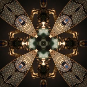 Imaginal Stage