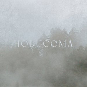 Hoducoma 的头像