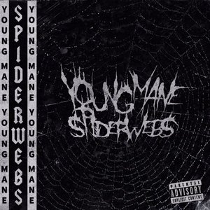 Spiderwebs