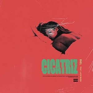 Cicatriz