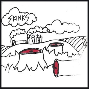 Skinks
