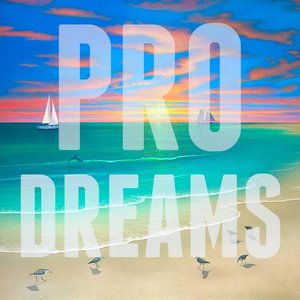 Pro Dreams