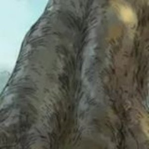 webyte 的头像