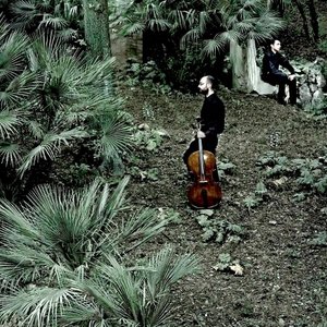 Warhol Piano Quartet 的头像