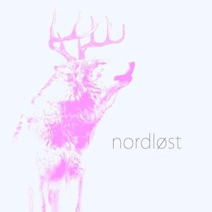 nordløst 的头像