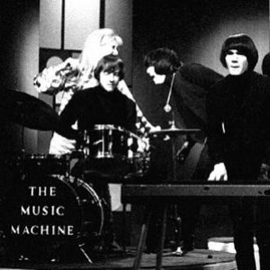 The Bonniwell Music Machine 的头像