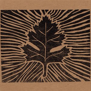 Boar's Harp