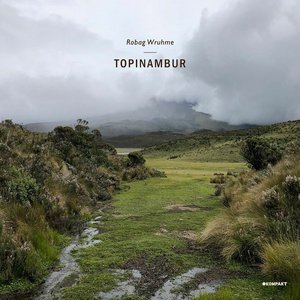 Topinambur