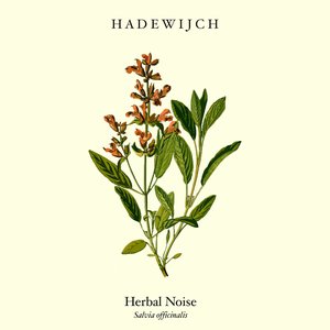 Herbal Noise