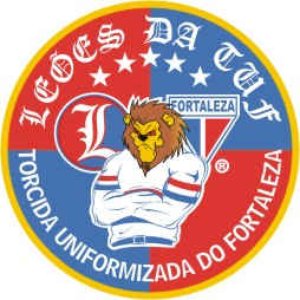 Image for 'Leões da TUF'