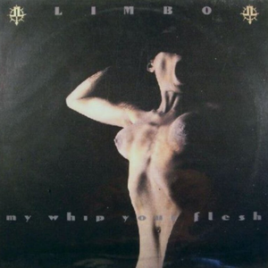 My Whip Your Flesh cover