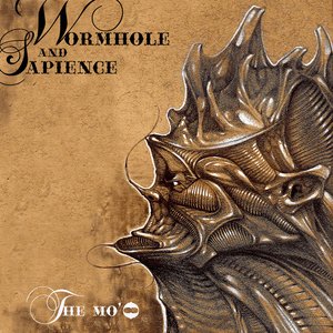 Wormhole and Sapience 的头像