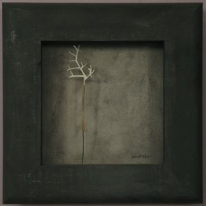 Joe Adrift 的头像