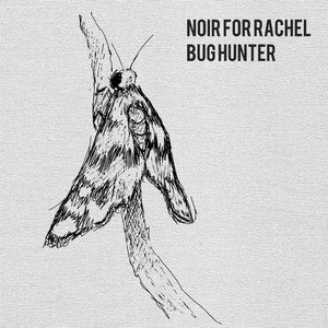 Bug Hunter