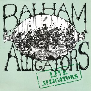 Live Alligators