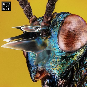 Yotto - Nova - Zortam Music