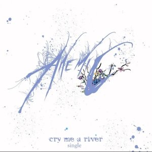 Cry Me a River - Single