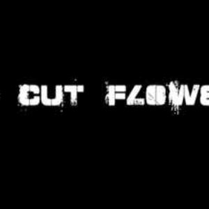 In Cut Flower 的头像