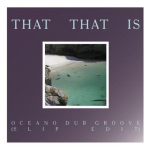 Oceano Dub Groove (Slip Edit)