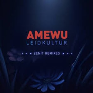 Leidkultur Zenit Remixes