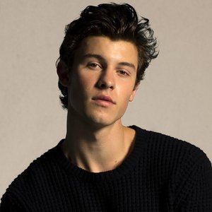 Shawn Mendes 的头像