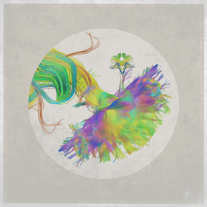 Dustin Tebbutt - Changeophelia Lyrics - Zortam Music