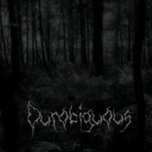 Image for 'Ourobiguous'