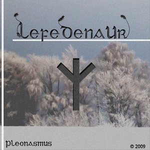“Pleonasmus”的封面