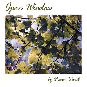 Open Window