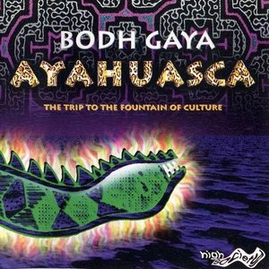 “Ayahuasca - The Trip To The Fountain Of Culture”的封面