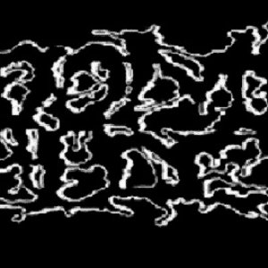 Womb Raiders 的头像