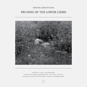 Pruning Of The Lower Limbs